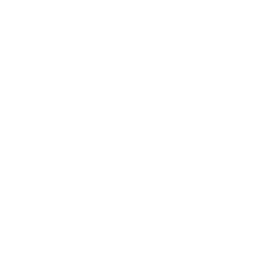 SLON OIL